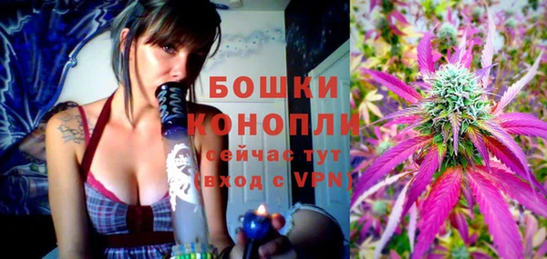 PSILOCYBIN Вязники