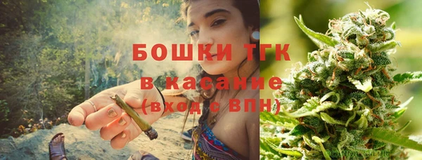 тгк Вяземский