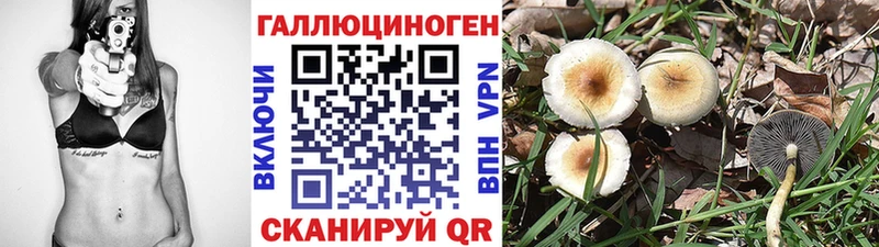 Купить где  Лесозаводск  Псилоцибиновые грибы прущие грибы 